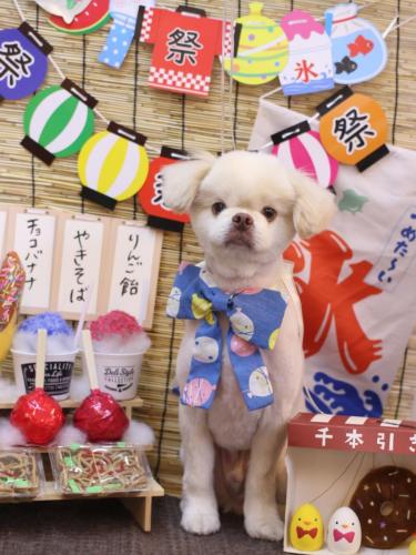 20240706琥珀くん